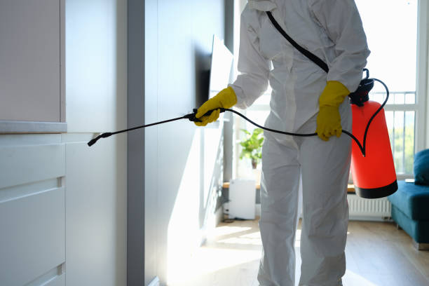 Zanesville, OH Mold Removal Company